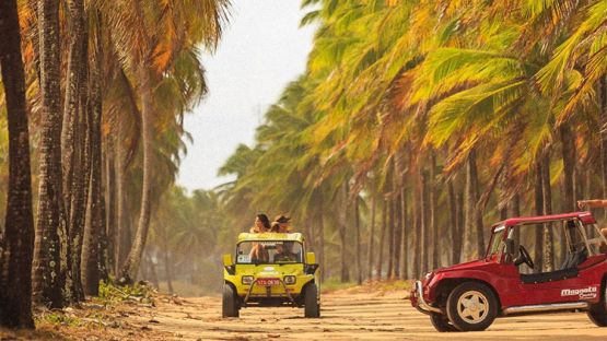 Passeio de Buggy Ponto a Ponto em Porto de Galinhas - 2h (C&oacute;d. 630)